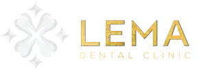 lema-logo-mini-300x103
